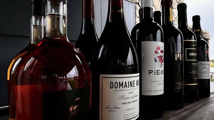 Cata de vinos