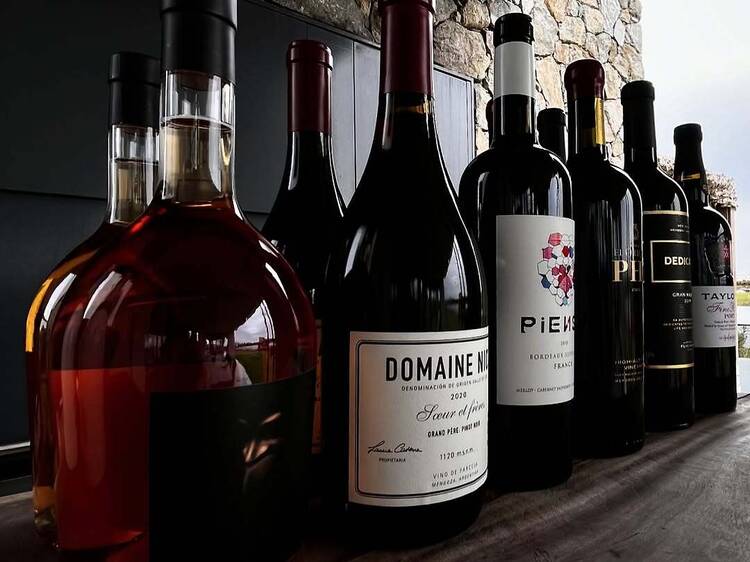 Cata de vinos