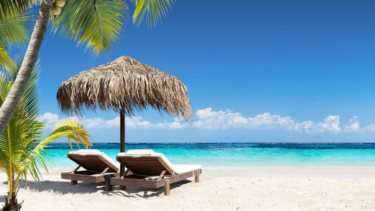 Photograph: Shutterstock