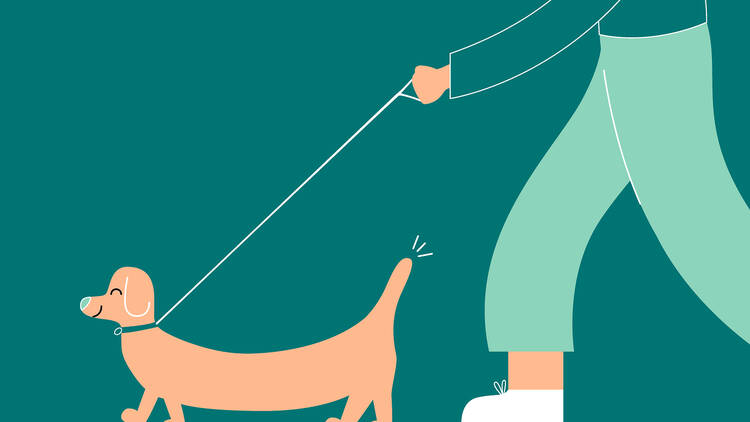 a drawing of a person walking a dog a drawing of a person walking a dog