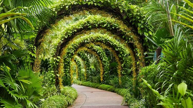 Singapore Botanic Gardens