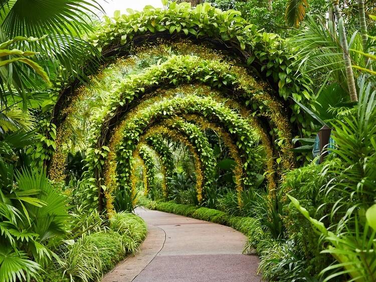 Singapore Botanic Gardens