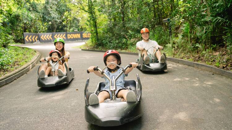 Skyline Luge Sentosa