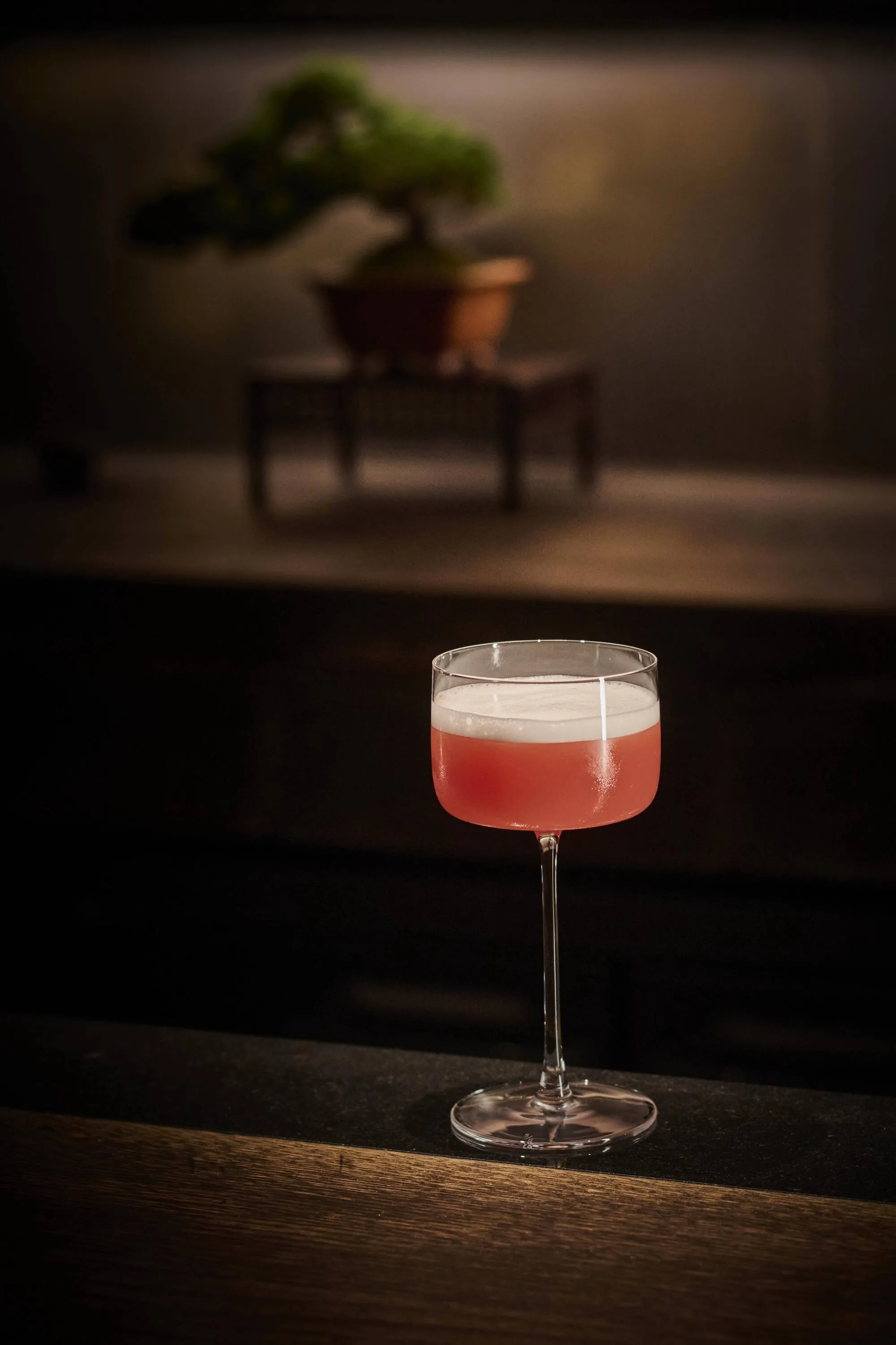 The SG Club 参階 – Sangai