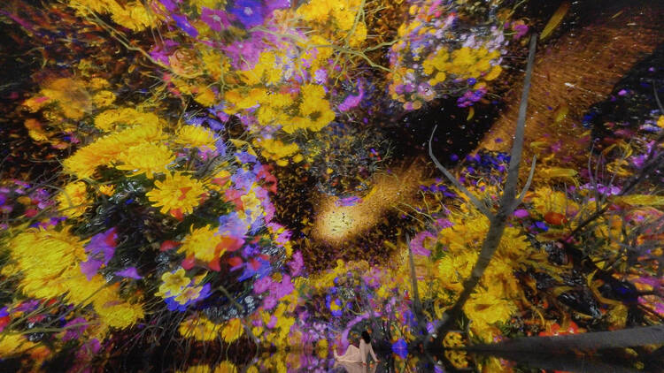 チームラボ バイオヴォルテックス 京都