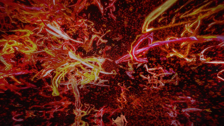 チームラボ バイオヴォルテックス 京都