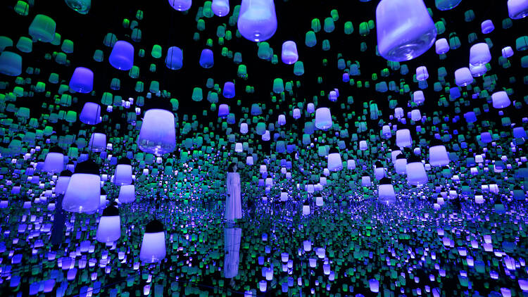 チームラボ バイオヴォルテックス