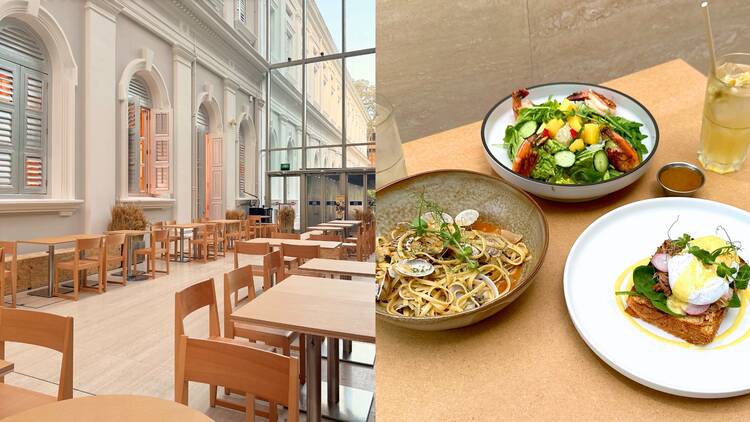 Dame Museum Café