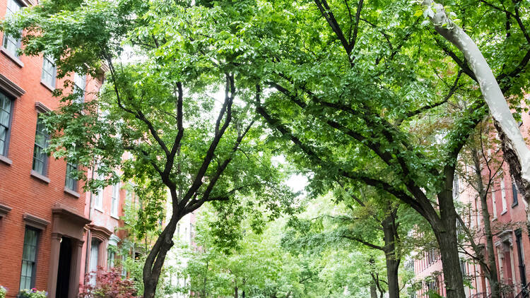 This is officially the greenest, most beautiful block in all of Brooklyn