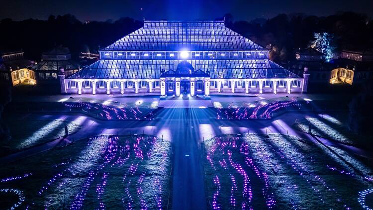 Kew Gardens Christmas lights