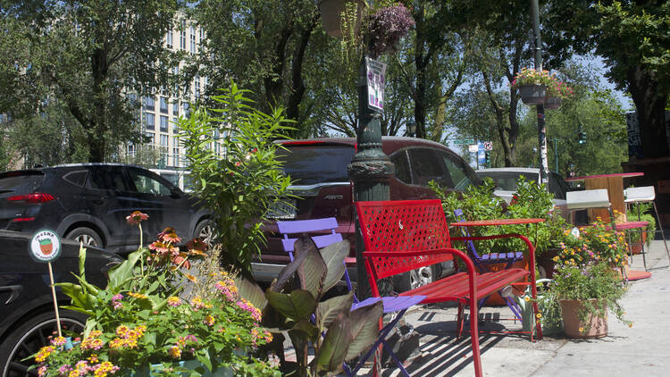 prettiest block in Brooklyn