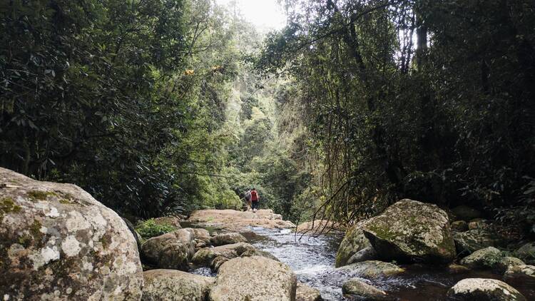 Elabana Falls