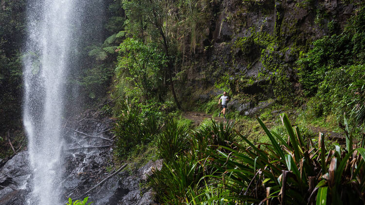 Twin Falls