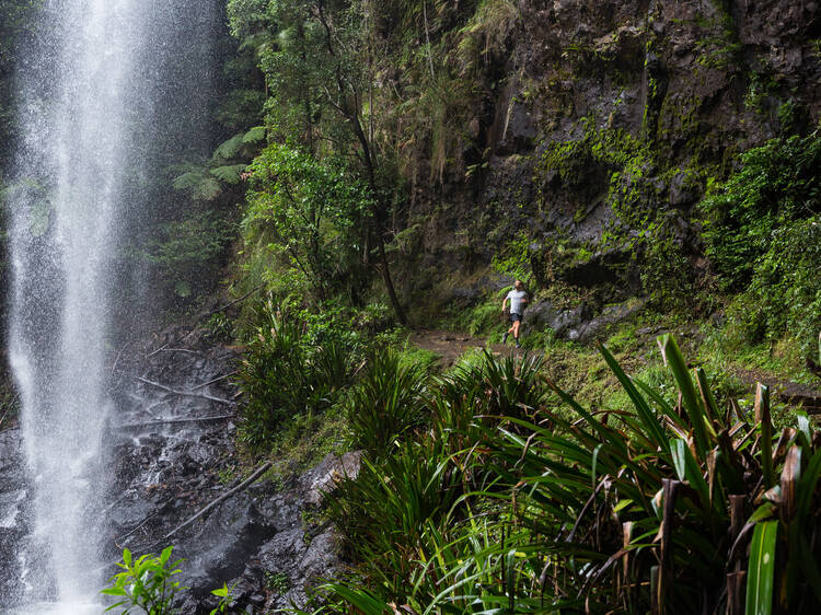 Twin Falls