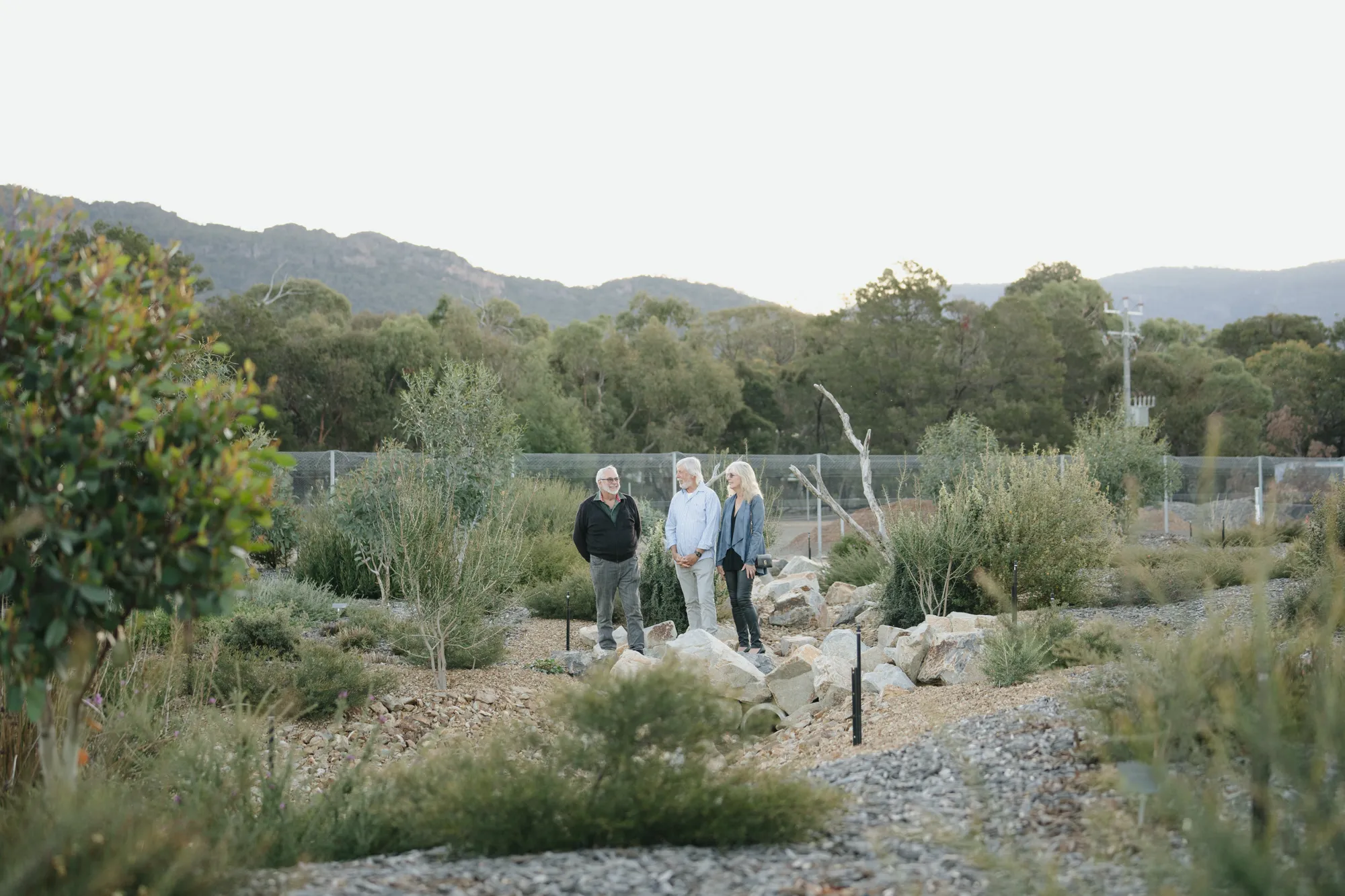 WAMA garden