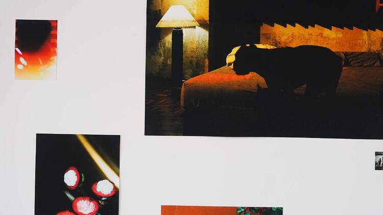 Interiors: Through the Lens of Fashion