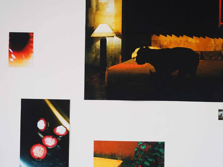 Interiors: Through the Lens of Fashion