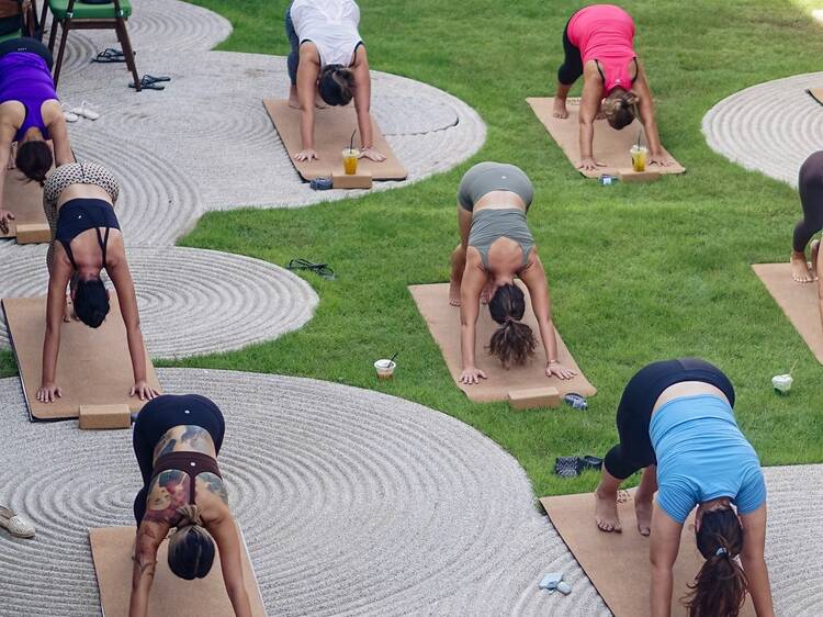A bem da saúde, Belém recebe feira com yoga e ginástica grátis