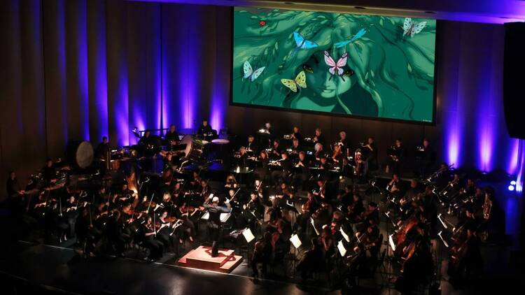 Disney Fantasia in Concert Disney Fantasia in Concert