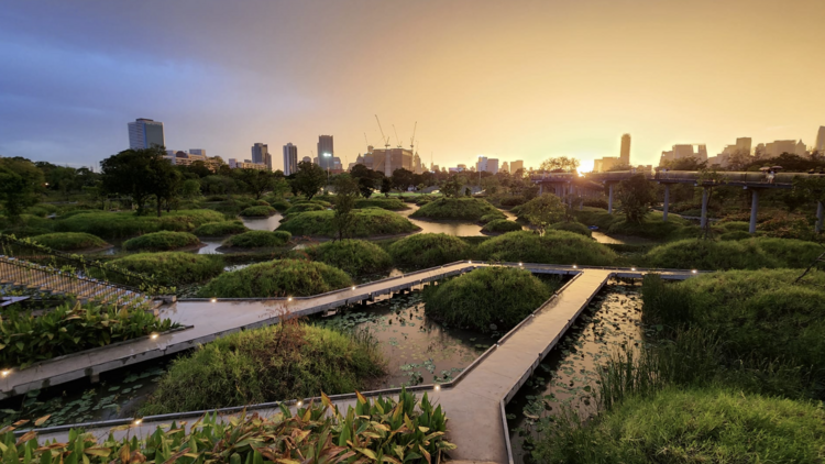 Take a peaceful walk together in the park