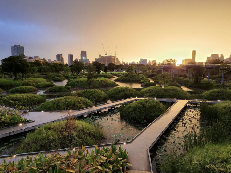 Take a peaceful walk together in the park