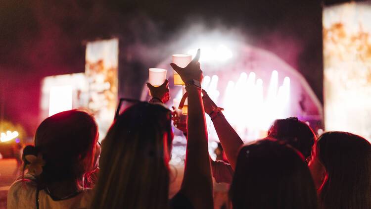 Earthdance Johannesburg 2025
