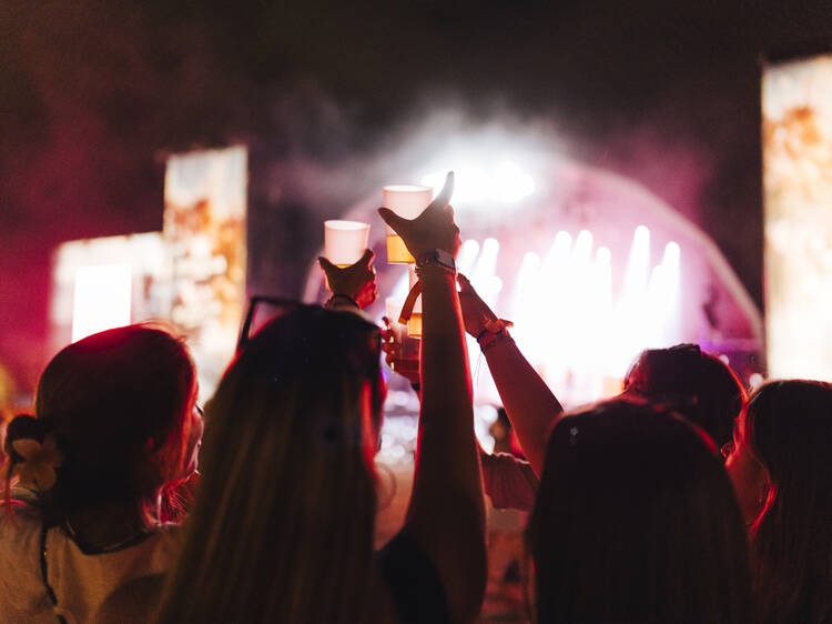 Earthdance Johannesburg 2025