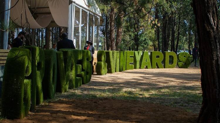 Groves & Vineyards festival