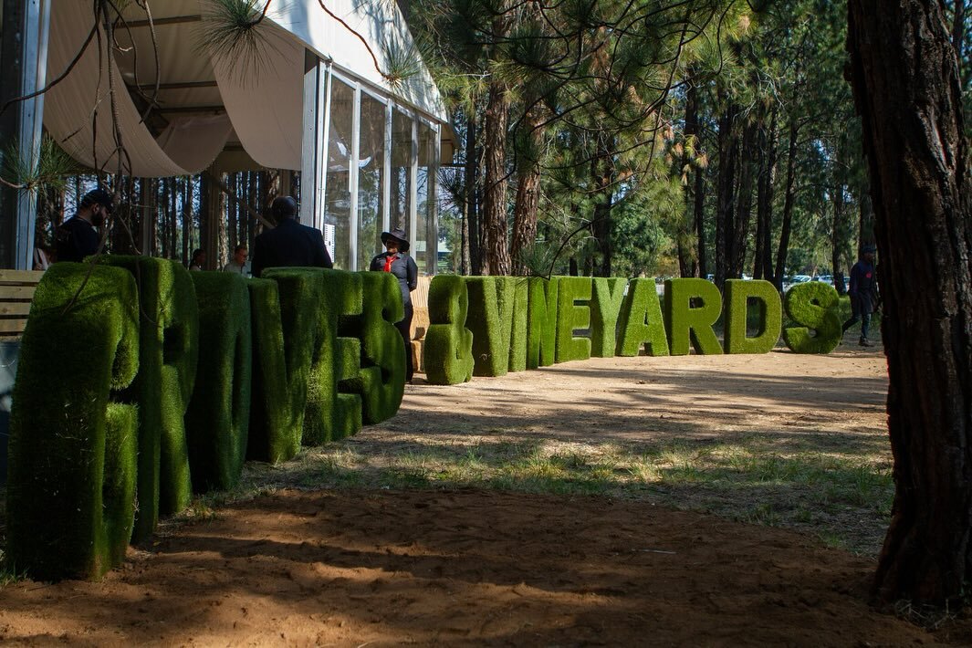 Groves and Vineyards | Casalinga | Things to do in Johannesburg