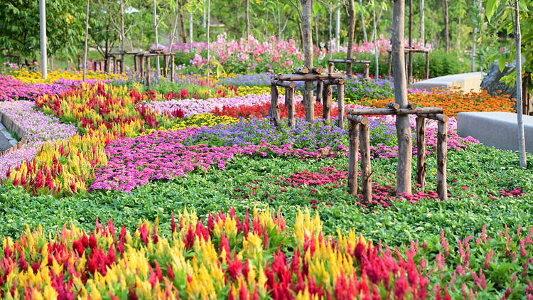 Bangkok’s biggest flower fest is back