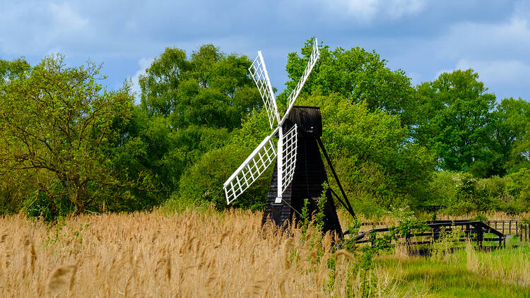 Wicken Fen, Cambridgeshire