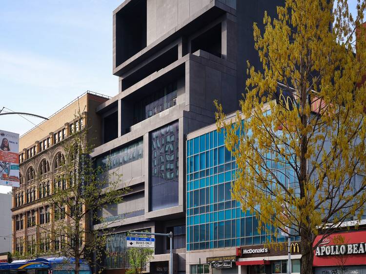 17 NYC art exhibitions we’re most excited about in fall 2025