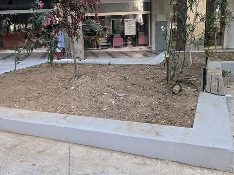 Junta de Arroios fez desaparecer canteiro criado por cidadãos