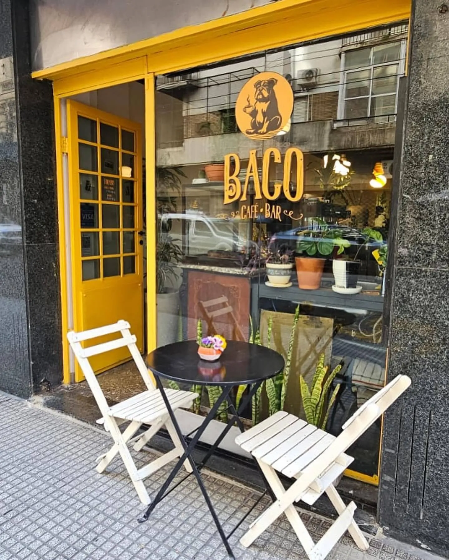 baco-bar-y-café