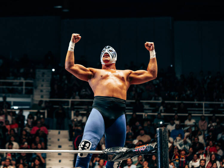 Fan Fest Lucha Libre: tendrá función de películas gratis en CDMX