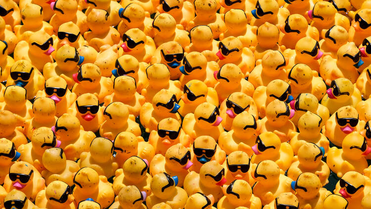 Chicago Ducky Derby