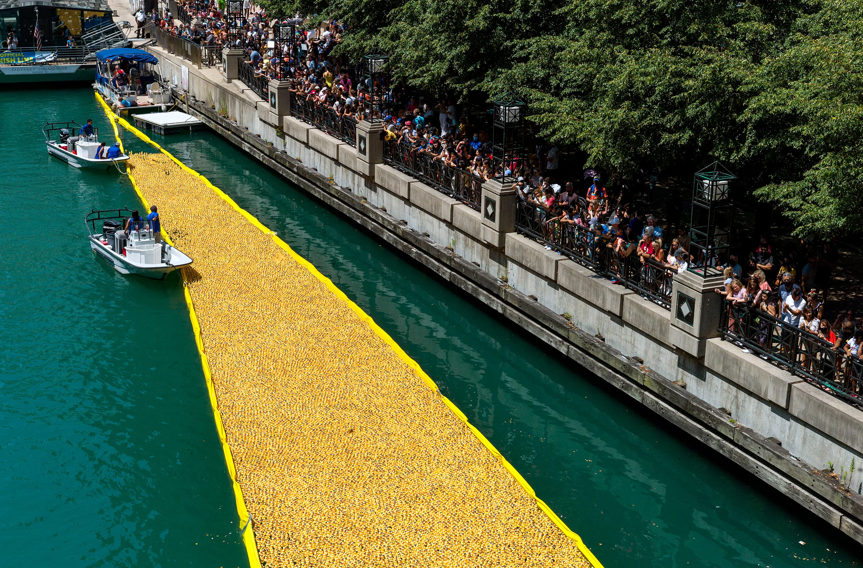 Chicago Ducky Derby