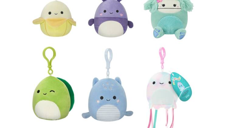 Charm de Squismallows
