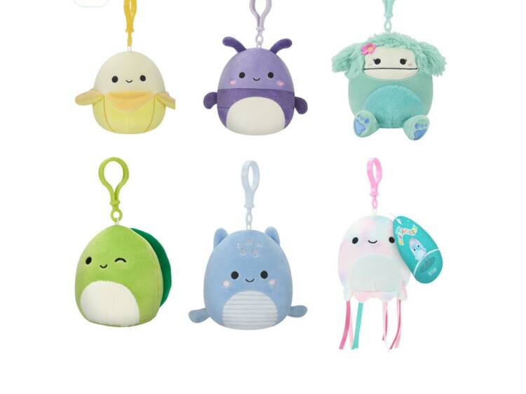 Charm de Squismallows