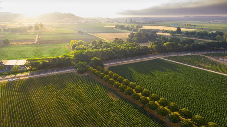 Suisun Valley