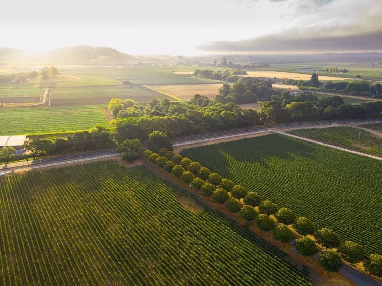 This California wine region was just named the best in the country—and it's not the one you're thinking of