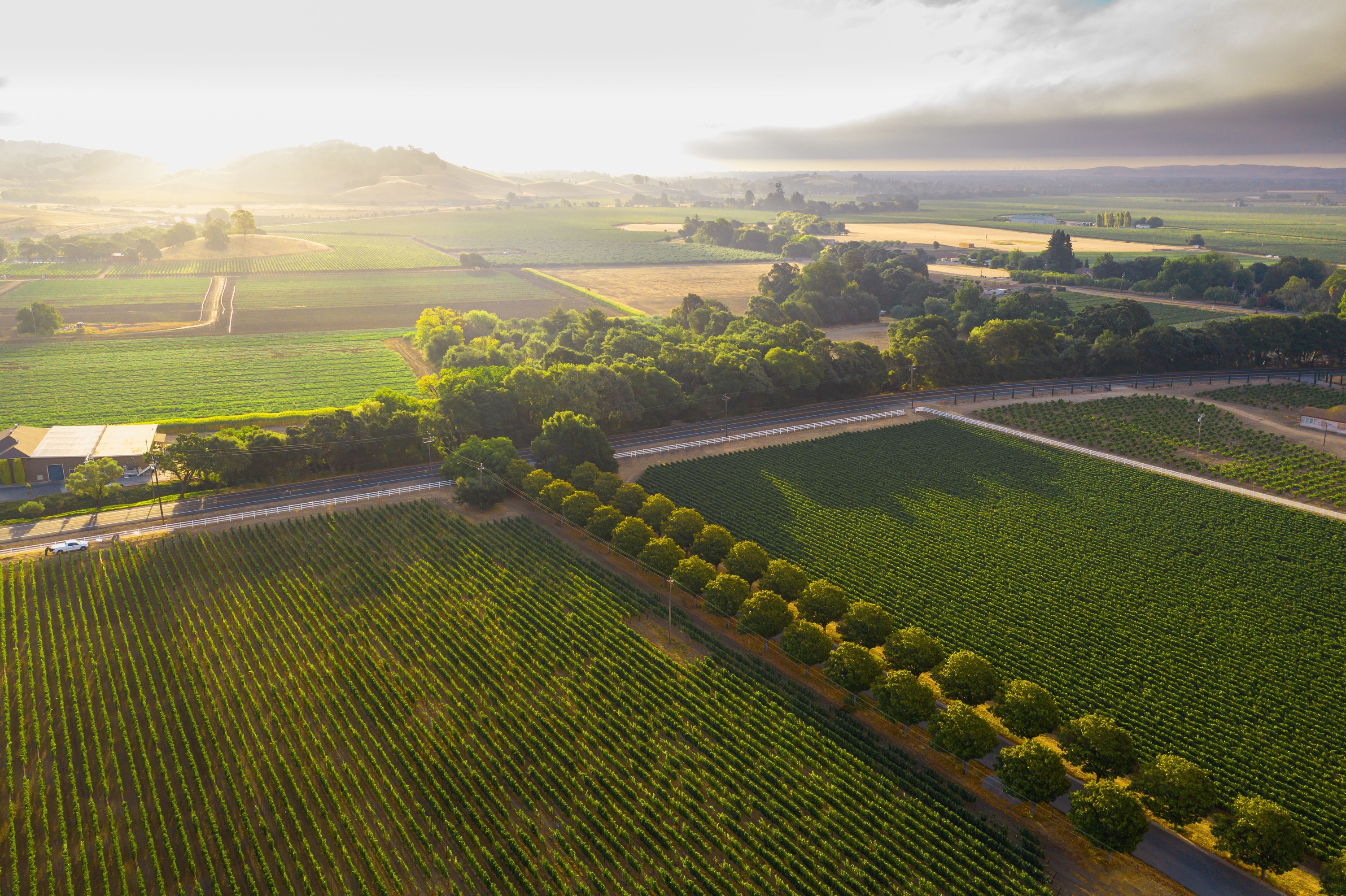 USA Today Names Suisun Valley the Best Wine Region in the Country