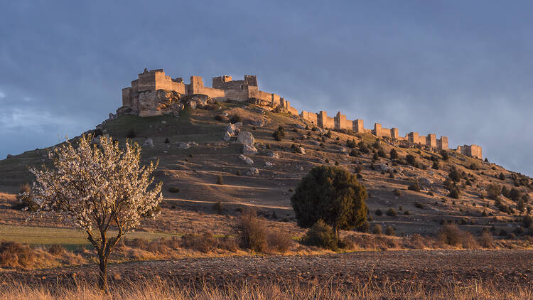 Fortaleza de Gormaz (Wikipedia).