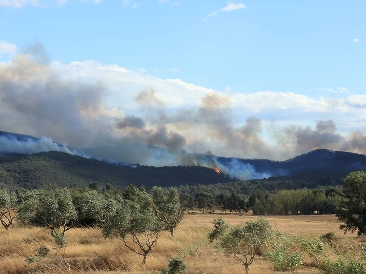 Is it safe to visit the south of France? Latest advice as wildfire blazes