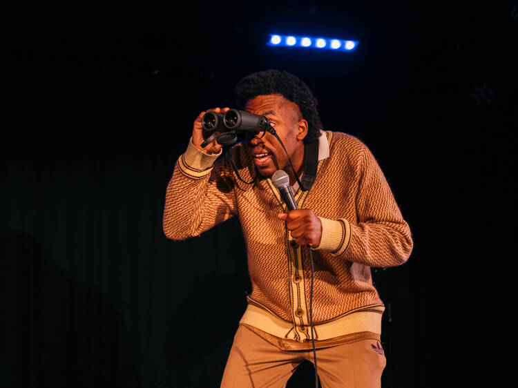 Toussaint Douglass: Accessible Pigeon Material