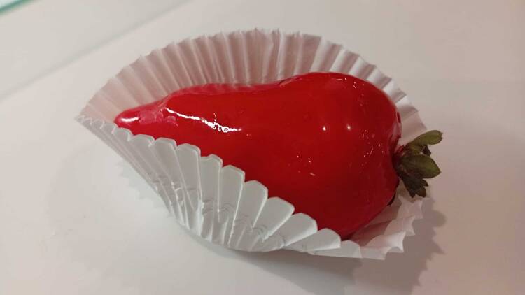Açaí Concept