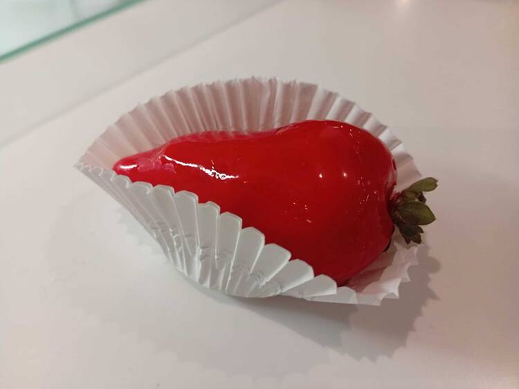 Açaí Concept