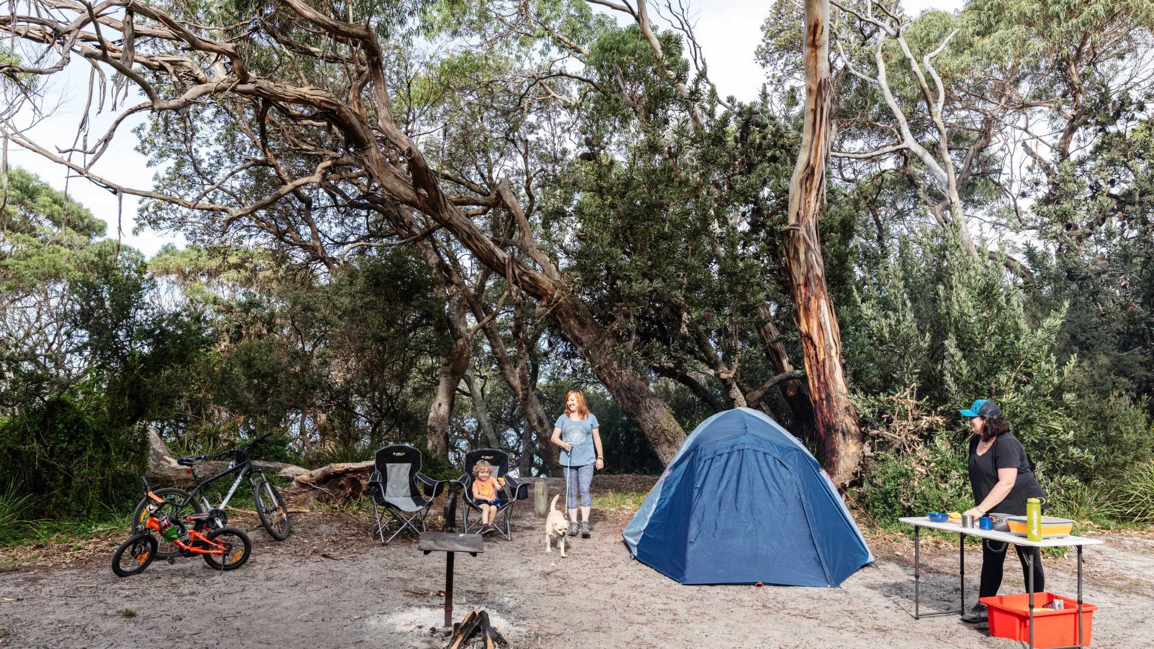 Banksia Bluff campground