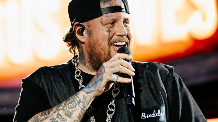 Singer with mic on stage