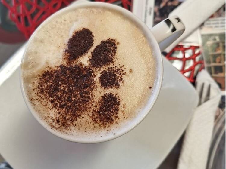 Cat Heaven Rescue Cat Café    